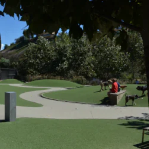 What to Know Before You Spec a Dog Park Surface in Oakley