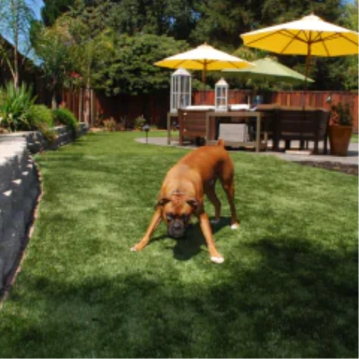 Why fake grass for dogs Completely Changes Your Oakley Backyard