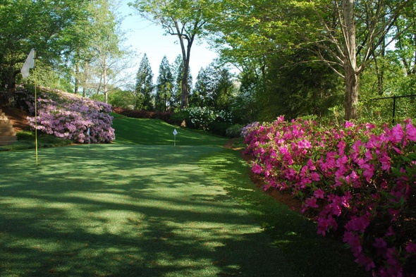 Oakley backyard putting green grass
